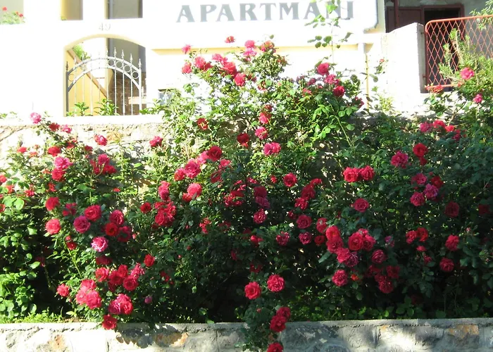 Apartments Laura